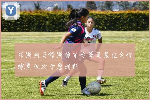 韦斯利马修斯称字母哥是最佳合作球员仅次于詹姆斯