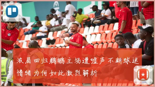 浓眉回归鹈鹕主场遭嘘声不断球迷情绪为何如此激烈解析