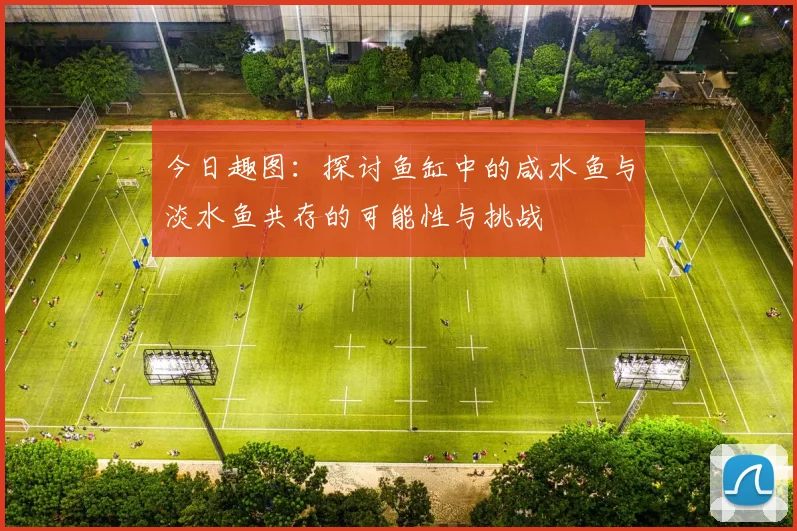 今日趣图：探讨鱼缸中的咸水鱼与淡水鱼共存的可能性与挑战